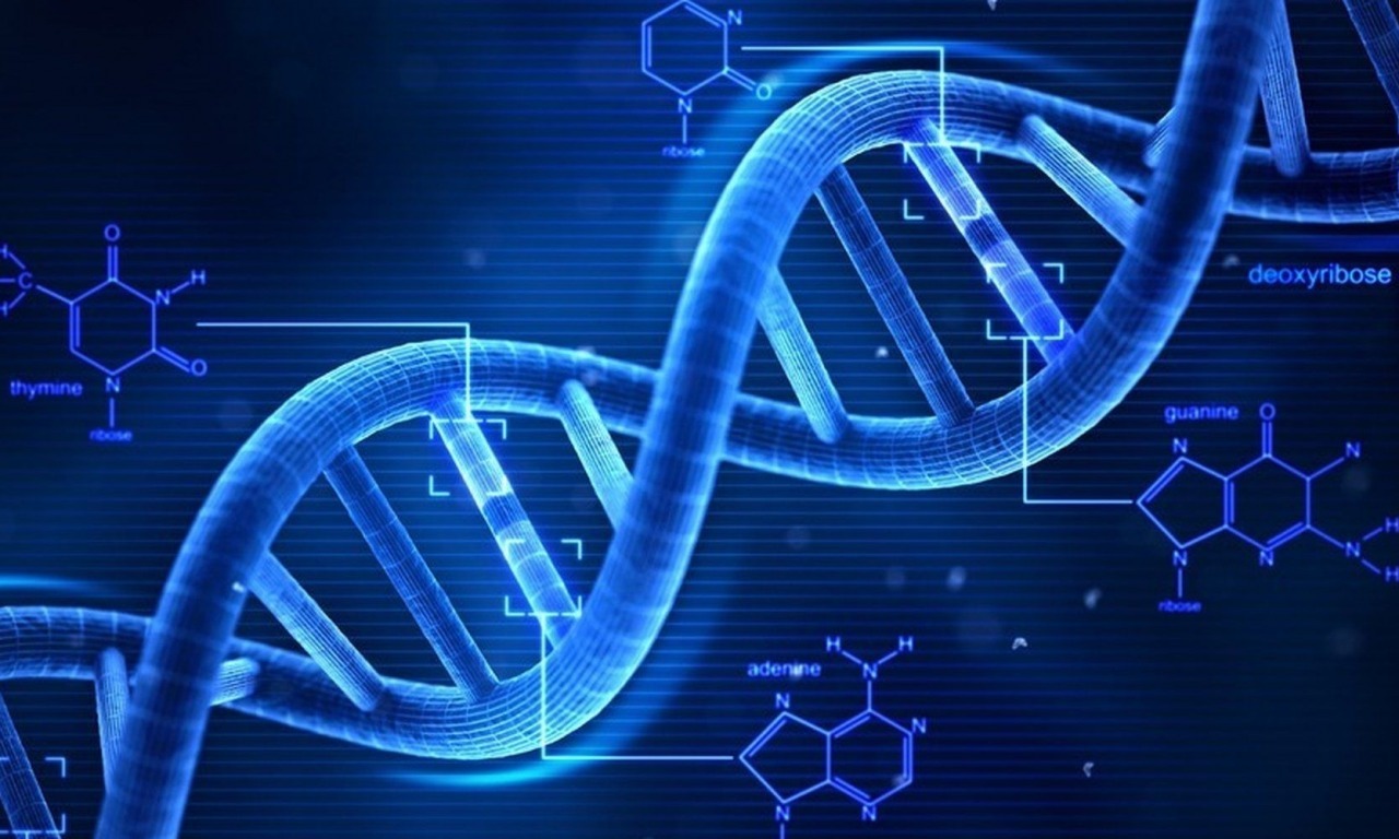 Brevettate il DNA?